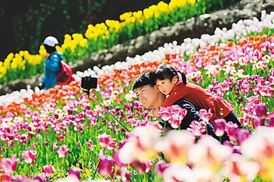 20180408_003