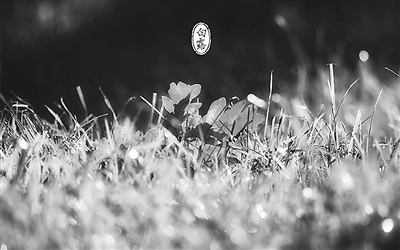 20150908_001