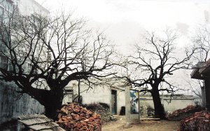 20160402_006