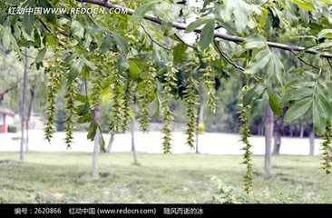 20161001_004