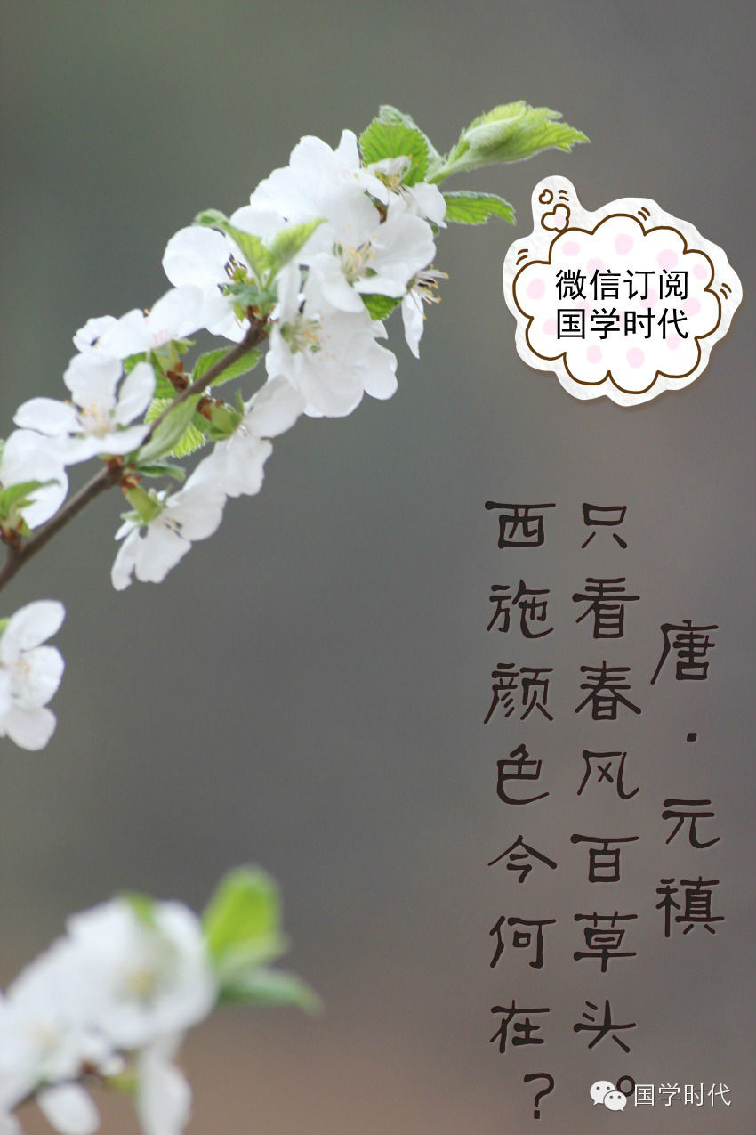 20150219_018