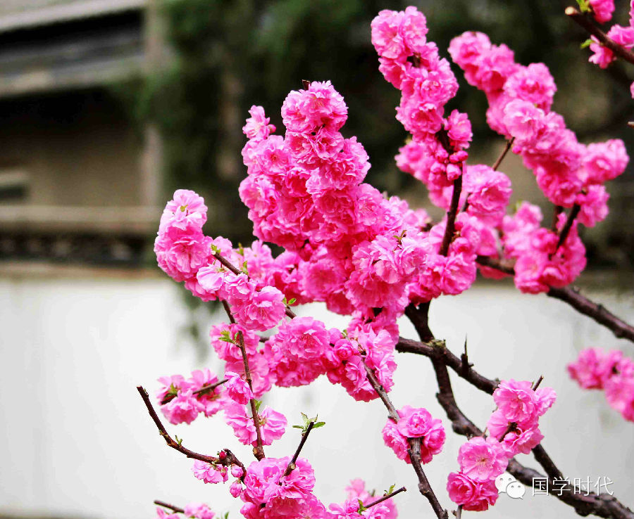 20150219_013