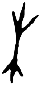 20181229_007