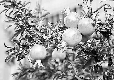 20150807_001