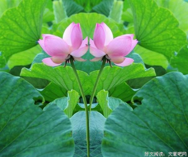 结了婚，都别作，好好过 