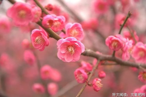 余生，你要学会不在乎 