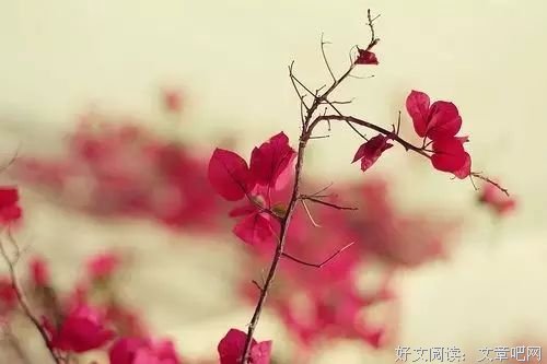 人品不过关，其他都是扯淡！ 