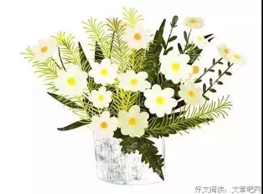 认识你真好，想陪你终老 