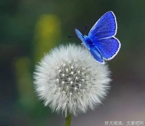我是站在天堂对岸的女人 