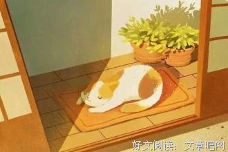 捂不热的心，就不要强求了 