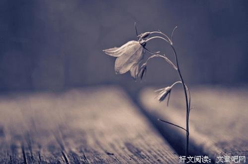 越亲近，越不懂得珍惜 