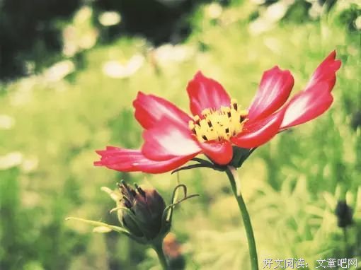懂你的人，最值得你珍惜 