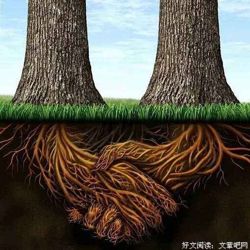 真正的朋友，淡淡交 慢慢处 