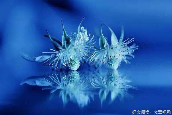 互为知己，才是真正的知己 