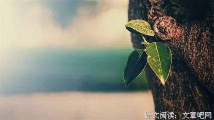 最贵的贵人，是你自己 