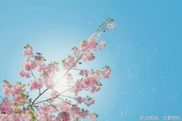婚礼上，爸爸打翻了我敬的酒 
