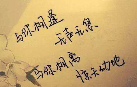 自从遇见你