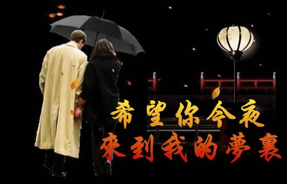今夜,我在梦里寻你