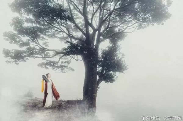 勇于失去，才是成熟人生的标配 