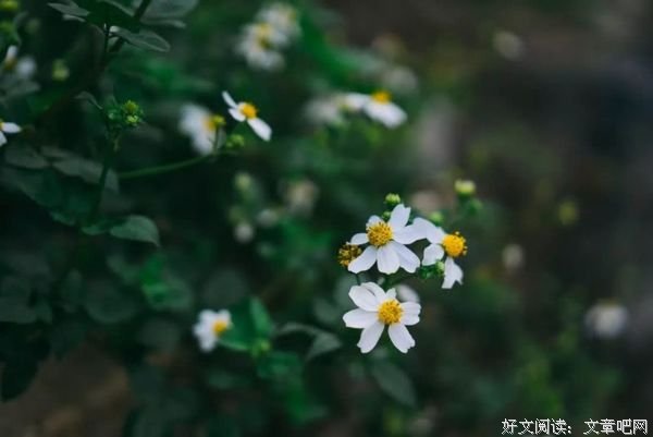 努力是一种追求，与年龄无关 