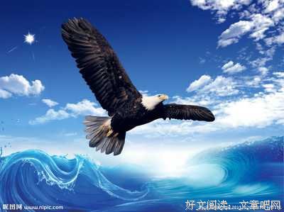 成功源于不认输 