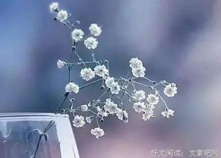 决定你命运的，不是父母，不是金钱，而是...... 