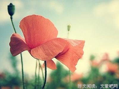 你吃了多少苦，才会尝到多少甜 