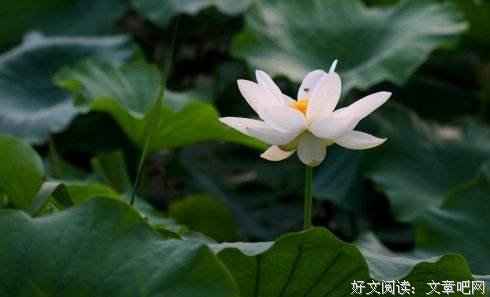 丧过之后，就加倍努力吧 