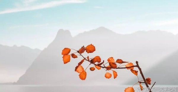 你的原则，就是你的人品 
