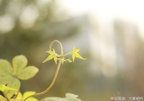 人在逆境时，只能靠自己 