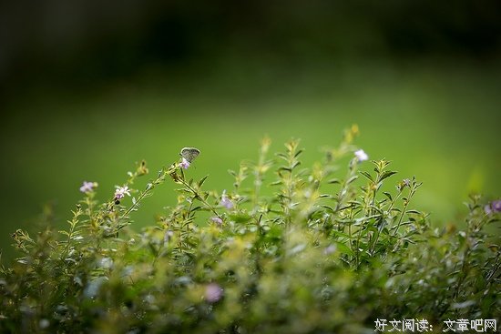 遇人藏住事，遇事沉住气，生气压住火 