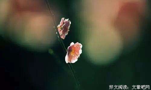 扛不住的时候，读一遍 