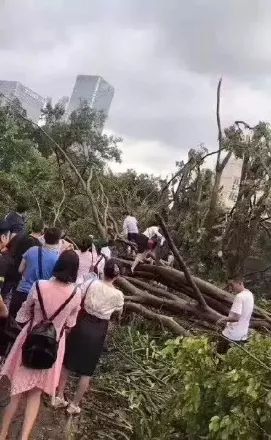 成年人的生活真相：走不到的远方，躲不开的低配 