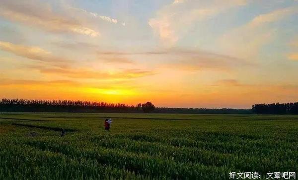 不怕你进步太慢，就怕你放弃太快 