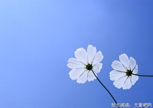 修得一颗平凡心，亦是人生小圆满 
