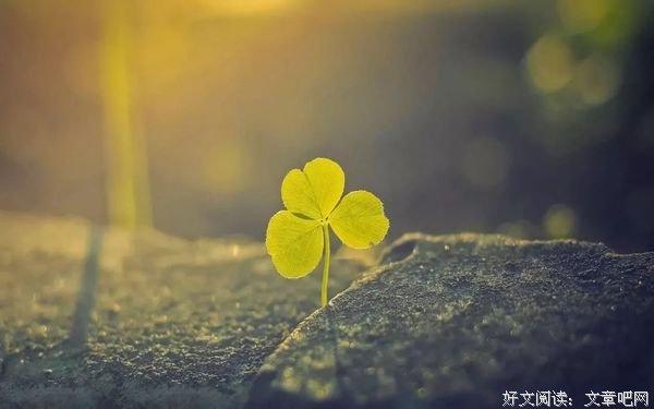 时间，会留下最真的人 