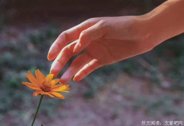 余生很贵，放下别人的错，解脱自己的心 