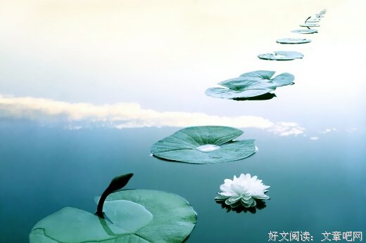 凡事皆有因果：你舍去什么，就得到什么 