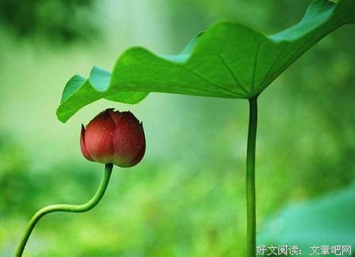 一个人再老实,也尽量少在这3件事上软弱 
