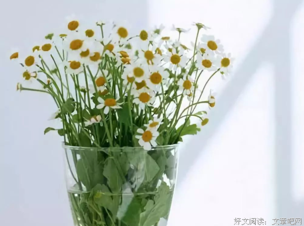 做一个心中有片海的人 