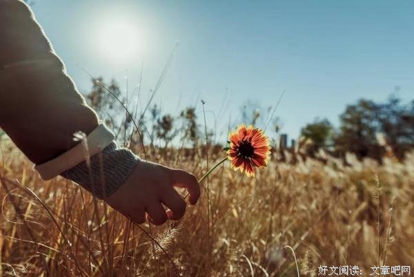 王阳明：平常心做事，光明心做人 