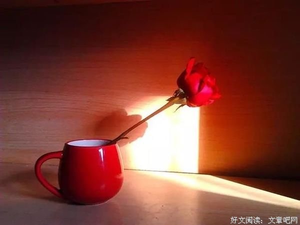心净，一切皆静，人生才干净 