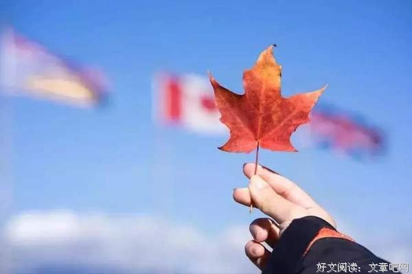 人生下半场，拼的是格局 