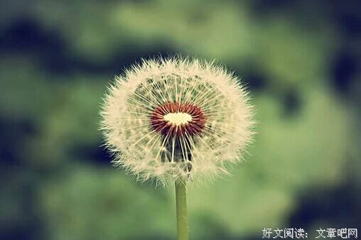 卸下你的累，让往事清零 