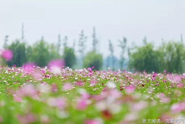 你笑了，生活才会对你笑 