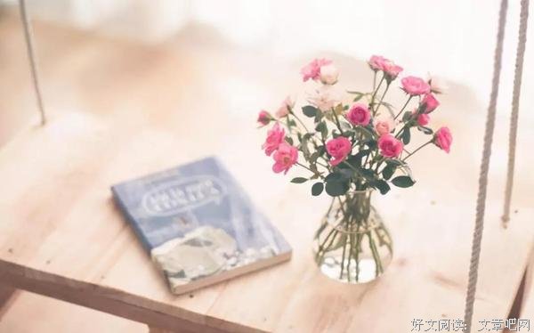 在自己的节奏里，过好这一生 