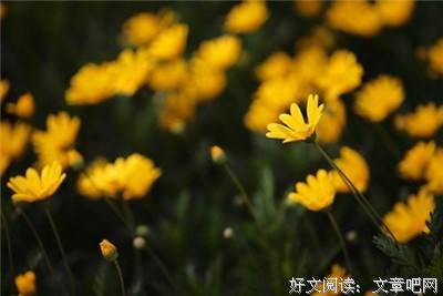 当你感到累了，请记住这几点！ 