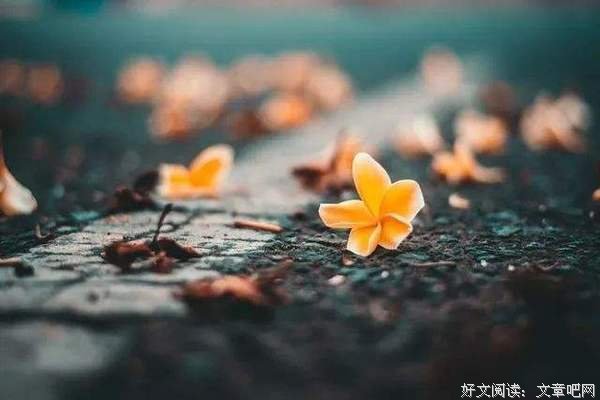 正确用力，才能毫不费力 