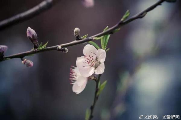 成大事者，绝不会轻易辜负人 
