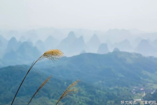 释怀，是最好的心态 